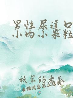 男性尿道口长了小肉小米粒