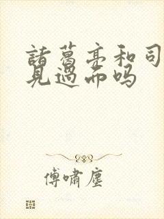 诸葛亮和司马懿见过面吗