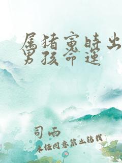 属猪寅时出生的男孩命运