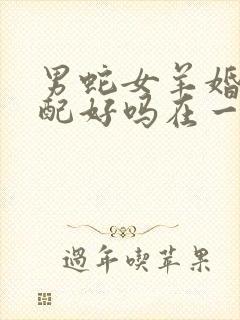 男蛇女羊婚姻相配好吗在一起好不好