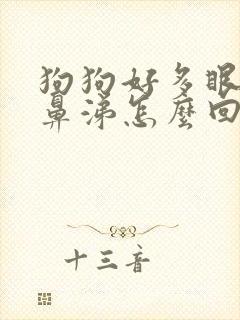 狗狗好多眼屎流鼻涕怎么回事