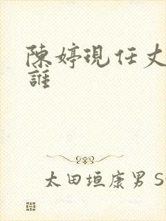 陈婷现任丈夫是谁