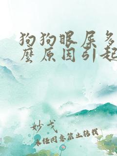 狗狗眼屎多是什么原因引起的