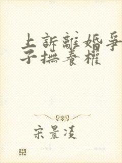 上诉离婚争取孩子抚养权