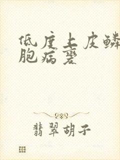 低度上皮鳞状细胞病变