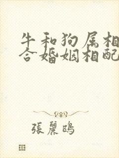牛和狗属相合不合婚姻相配