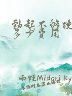 勃起不够硬治疗多少费用