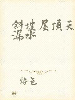 斜坡屋顶天窗 漏水