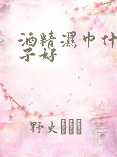 酒精湿巾什么牌子好