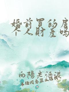 婚前买的房子算个人财产吗