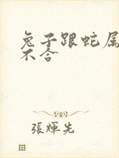 兔子跟蛇属相合不合