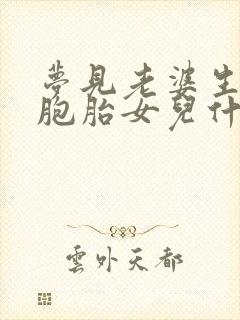 梦见老婆生了双胞胎女儿什么预兆