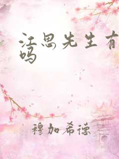 江思先生有小说吗