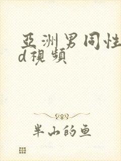 亚洲男同性恋hd视频