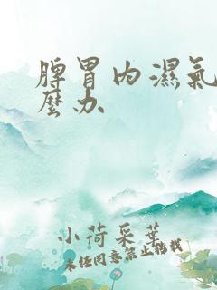 脾胃内湿气重怎么办