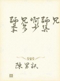 师兄啊师兄第一季多少集