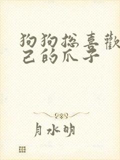 狗狗总喜欢舔自己的爪子