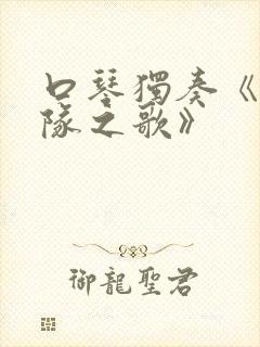 口琴独奏《游击队之歌》