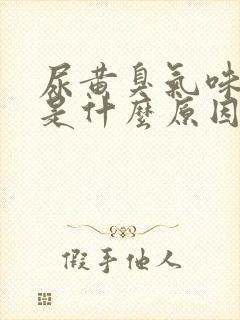 尿黄臭气味很重是什么原因