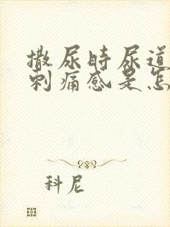 撒尿时尿道口有刺痛感是怎么回事