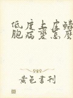 低度上皮鳞状细胞病变怎么治