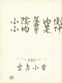 小阴唇内侧长了小肉芽是什么原因