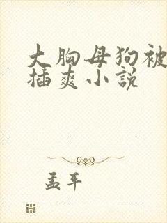 大胸母狗被主人插爽小说