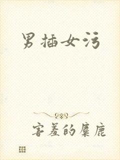 男插女污