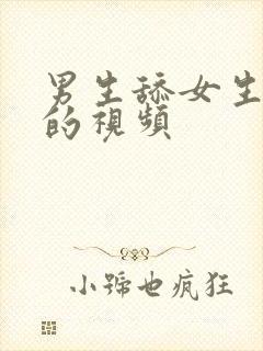 男生舔女生下边的视频