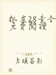 抓灰28章全部免费阅读