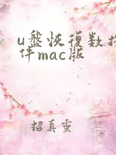 u盘恢复数据软件mac版