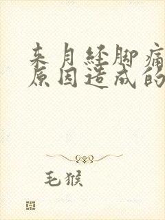 来月经脚痛什么原因造成的