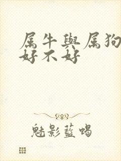 属牛与属狗婚配好不好