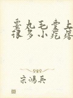 睾丸毛囊上长了很多小疙瘩