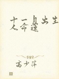 十一月出生的猴人命运