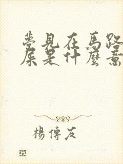 梦见在马路上拉屎是什么意思