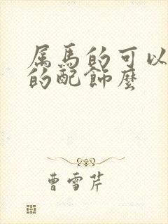 属马的可以带蛇的配饰么