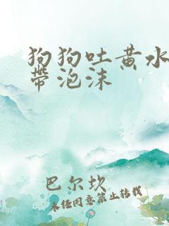 狗狗吐黄水粘稠带泡沫