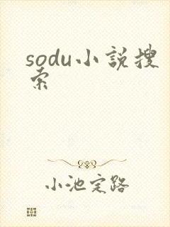 sodu小说搜索