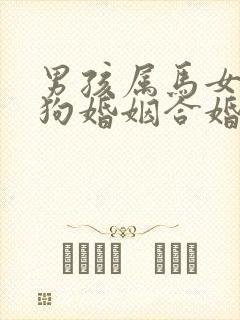 男孩属马女孩属狗婚姻合婚吗