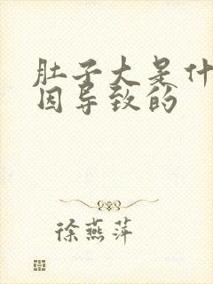 肚子大是什么原因导致的