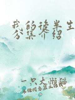 我的后半生剧情分集介绍