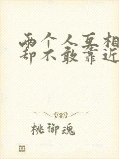 两个人互相喜欢却不敢靠近