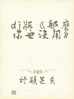 dj版《那么爱你也没用》