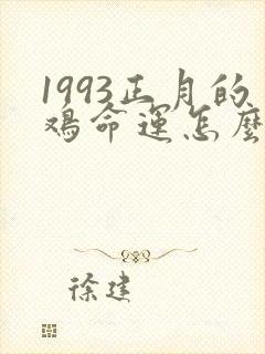 1993正月的鸡命运怎么样