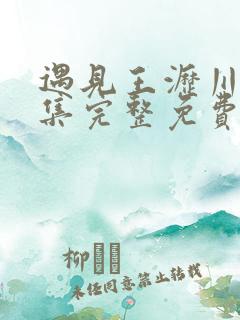 遇见王沥川40集完整免费