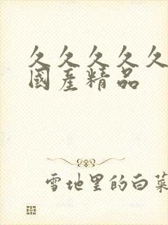 久久久久久久久国产精品