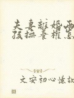 夫妻离婚两个小孩抚养权怎么判