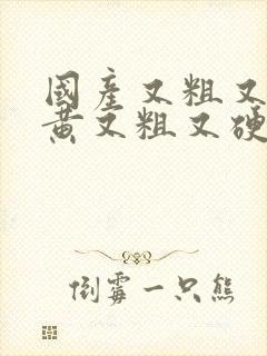 国产又粗又长又黄又粗又硬