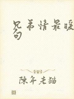 兄弟情最暖心短句